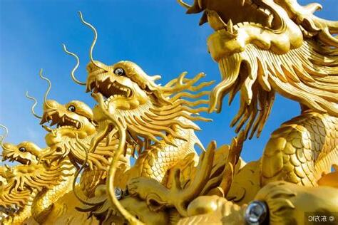 屬龍 五行